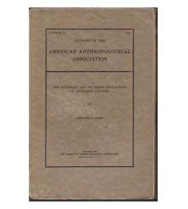 THE NORTHERN AND SOUTHERN AFFILIATIONS OF ANTILLEAN CULTURE