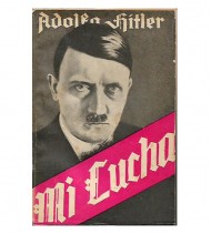 MI LUCHA