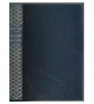 Leyenda de imagen VI-2553