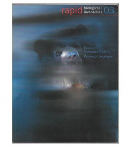 Leyenda de imagen VI-2606