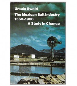 THE MEXICAN SALT INDUSTRY, 1560-1980. A STUDY IN CHANGE