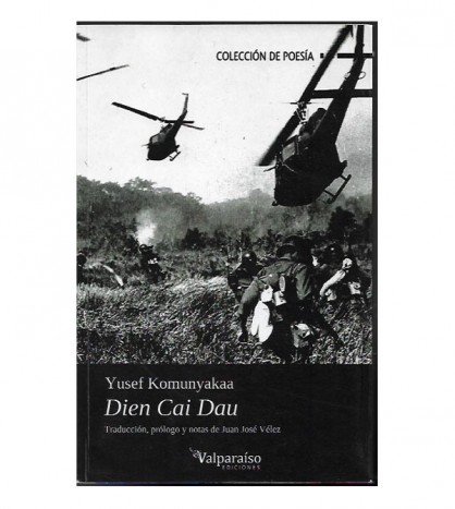 DIEN CAI DAU