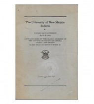 THE UNIVERSITY OF NEW MEXICO BULLETIN, ANTHROPOLOGICAL SERIES, VOL. 3, Nº 4