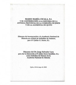 Img VI-3595