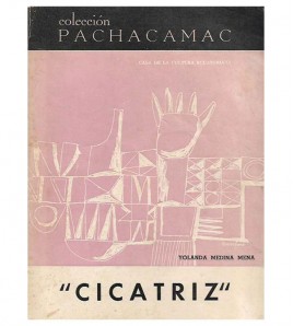 CICATRIZ