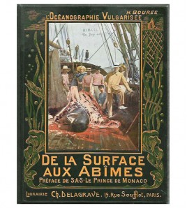 LOCÉANOGRAPHIE VULGARISÉE. DE LA SURFACE AUX ABÎMES