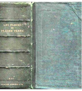 LES FLEURS DE PLEINE TERRE