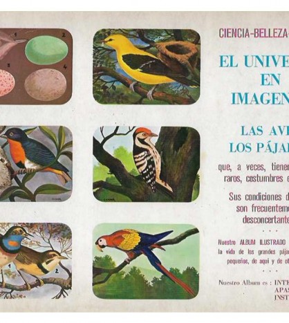 EL UNIVERSO EN IMÁGENES: LAS AVES. LOS PÁJAROS