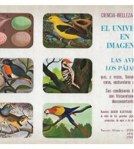 EL UNIVERSO EN IMÁGENES: LAS AVES. LOS PÁJAROS