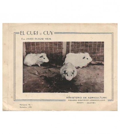 EL CURÍ O CUY, SUCUY, CUYE, JACA O CONEJILLO DE INDIAS EN COLOMBIA (CAVIA COBAYA)