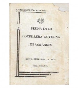 BRUMA EN LA CORDILLERA. NOVELINA DE LOS ANDES