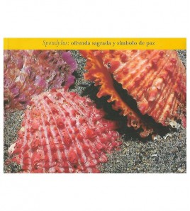 SPONDYLUS: OFRENDA SAGRADA Y SÍMBOLO DE PAZ