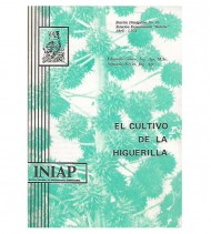 EL CULTIVO DE LA HIGUERILLA